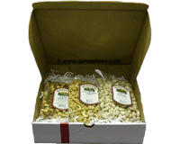  Ann's House of Nuts Combo Gift Collection 