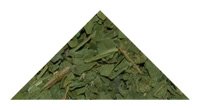 Dried Cilantro Leaves Picture