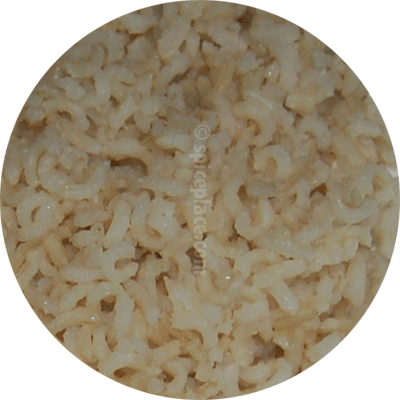 Baked Brown Rice