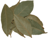 Picture of Bay Leaves