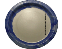  Dixie Heavyweight Party Plates 